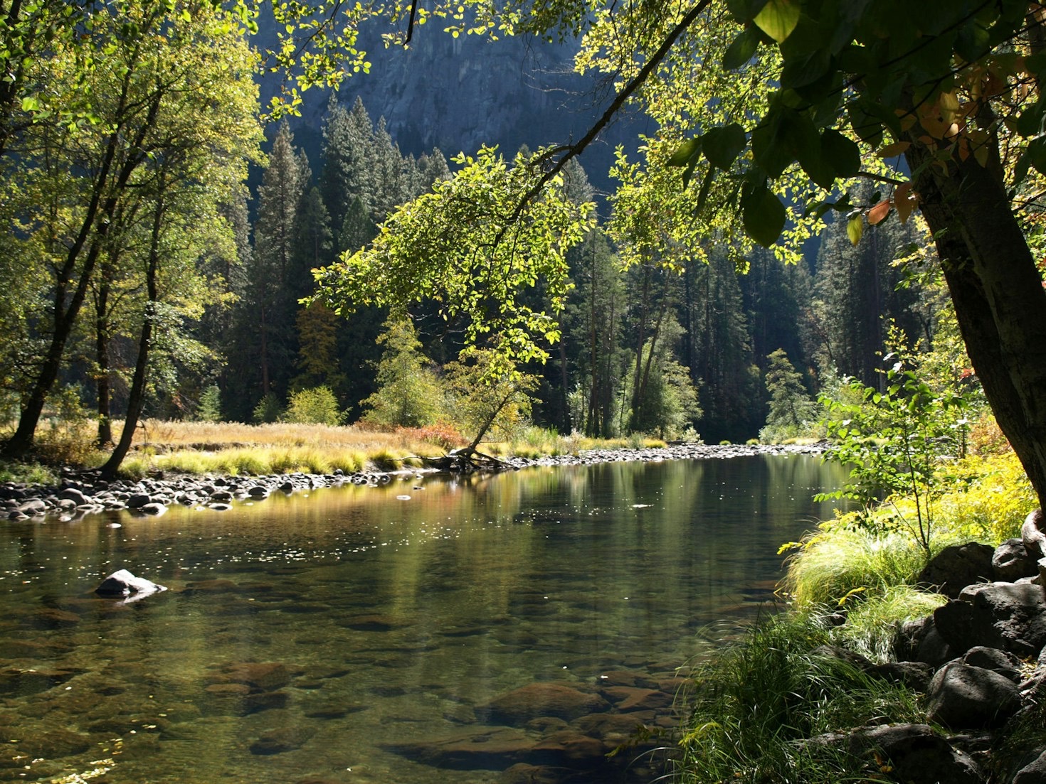 Top Water Activities for Family Bonding